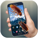 Cockroach Run On Mobile Screen - Scary Joke Zeichen