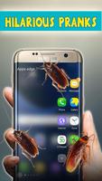 Cockroach Run On Mobile Screen - Scary Joke Plakat