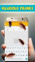 Cockroach Run On Mobile Screen - Scary Joke Screenshot 2