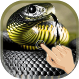 Magic Touch Cobra Attack أيقونة