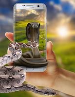 Cobra Snake attack on Phone 스크린샷 1