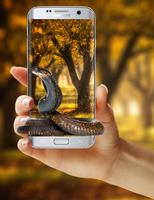 Cobra Snake attack on Phone capture d'écran 3