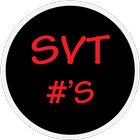 Production SVT # 's icône