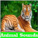 Animal Sounds aplikacja