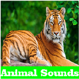 Animal Sounds icône