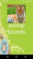 Animal Sounds Affiche