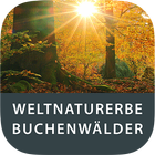 Weltnaturerbe Buchenwälder icône