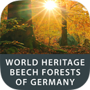 World Heritage Beech Forests APK