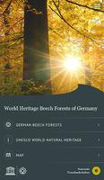 World Heritage Beech Forests Affiche