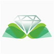 PGDNET Diamond App