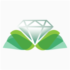 PGDNET Diamond App icône