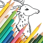 Animal Coloring Book : Deer New icône
