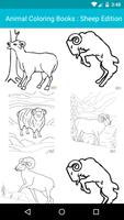Animal Coloring For Children : Sheep Edition-poster