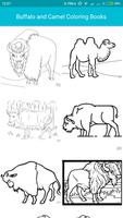 Buffalo and Camel Coloring Books الملصق