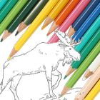 Coloring Books For Kids : Deer icône
