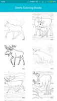 Coloring Books For Kids : Deer Affiche