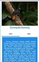 Ensiklopedia Fauna Langka screenshot 3