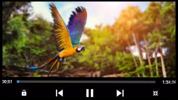 Real HD Player الملصق