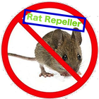 Anti Rat иконка