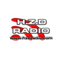 H.Z.D Radio Affiche