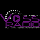 Voss Radio APK