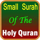 Small Surah Of Quran APK