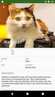 برنامه‌نما Pet Adoption عکس از صفحه