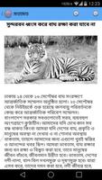 Bangla News - Newsify اسکرین شاٹ 2