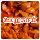 Tamil Samayal Pickle icône