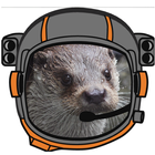 Otter Space Adventure icône