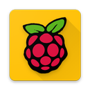 Raspberry Pi Projects APK