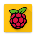 Raspberry Pi Projects ícone