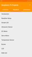 Raspberry Pi Projects โปสเตอร์