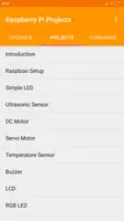 Raspberry Pi Projects постер