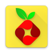 Raspberry Pi Projects