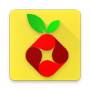 Raspberry Pi Projects APK