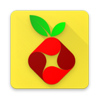 Raspberry Pi Projects icône