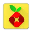 Raspberry Pi Projects