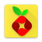 Raspberry Pi Projects أيقونة
