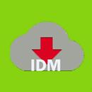 IDM Internet Download Manager aplikacja