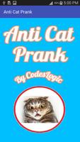 Anti Cat Prank Poster