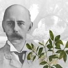 Heritage Museum icon