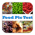 Food Pic Test
