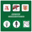 Human Anatomy System