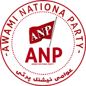ANP News icon