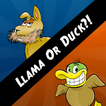 Llama Or Duck?!