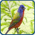 Bird Jigsaw Puzzle