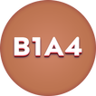 Lyrics for B1A4 (Offline)