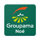 Noé de Groupama APK