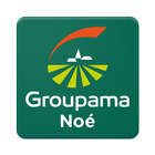 ikon Noé de Groupama